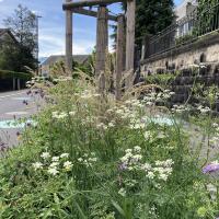 Bild von Wildbieneninsel