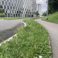 Beschreibung Wildbieneninsel