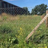 Beschreibung Wildbieneninsel