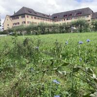 Beschreibung Wildbieneninsel