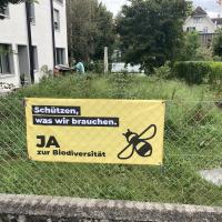 Beschreibung Wildbieneninsel