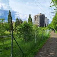 Bild von Wildbieneninsel