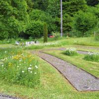 Bild von Wildbieneninsel