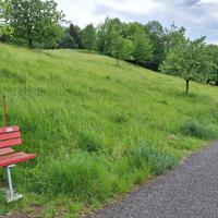 Bild von Wildbieneninsel