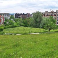 Bild von Wildbieneninsel