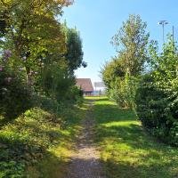 Beschreibung Wildbieneninsel