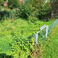 Beschreibung Wildbieneninsel