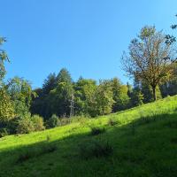 Beschreibung Wildbieneninsel