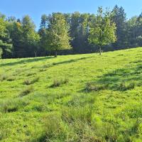 Beschreibung Wildbieneninsel