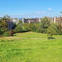 Beschreibung Wildbieneninsel