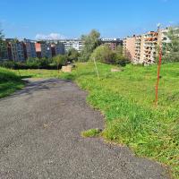 Beschreibung Wildbieneninsel