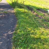 Beschreibung Wildbieneninsel