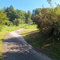 Beschreibung Wildbieneninsel