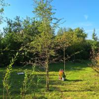 Beschreibung Wildbieneninsel